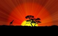 The World Africa