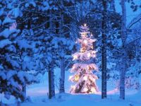Snowy