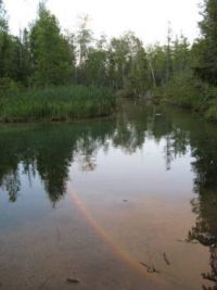 reflection of rainbow
