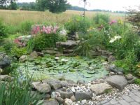 Ruth's Pond
