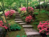 Garden Steps