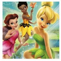 Disney Fairies 5