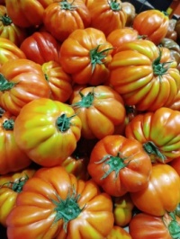 Buck Eye Tomatoes $14.99 per kg