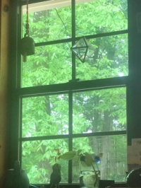 Kitchen window view today