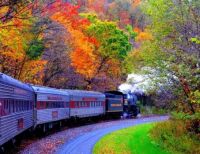 Autumn Train