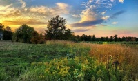 Local Park with the Sun Setting