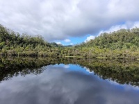 Gordon River, Tasmania