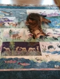 At Home in the Woods Quilt with my supervisor