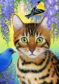 Bengal cat and birds.