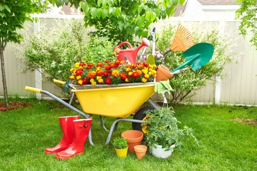 Gardening