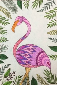 Tropical bird
