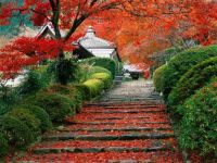 Garden staircase, Kyoto (Japan)