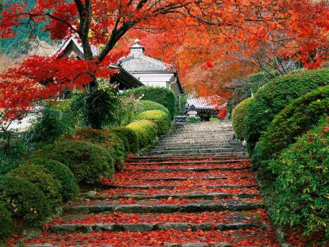 Garden staircase, Kyoto (Japan)