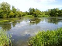 Moors Valley Country Park