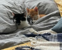 sleep is coming