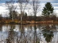 Reflections in the Sioux River