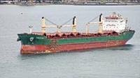 Chestnut - Ocean-Going Freighter - St Ste Marie, MI (2024-04-11)