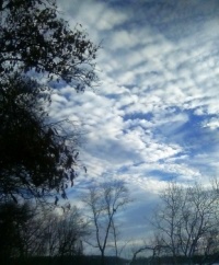 Beautiful Blue Sky!    01-21-24