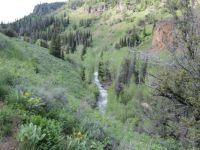 Jarbidge Wilderness
