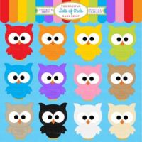 Cute Colorful Owls
