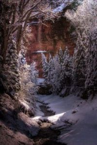 Amazing winter beauty