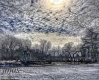 Jolene Erickson Photograph