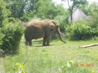 Nashville Zoo