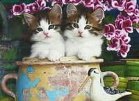 Kittens In Bloom (#2) 😻