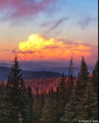 Carson National Forest near Taos,NM USA.