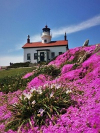 Farol de Battery Point esta situado no topo de uma colina de gerbera rosa é o mais pitoresco da América do Norte