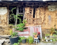 Skeleton of an old rural cottage