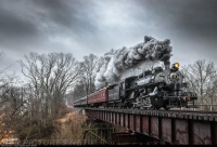 Its rain-glistened skin shining in the Grey light, the beast thunders on its journey!
