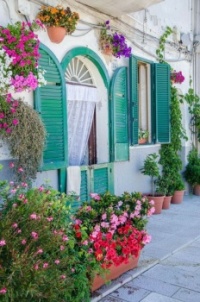 Turquoise Shutters ~ Bari, Italy