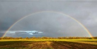 Rainbow of Hope