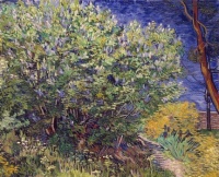 Vincent van Gogh 163