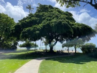 Park on Oahu