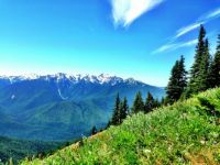 Hurricane Hill, Olympic National Park