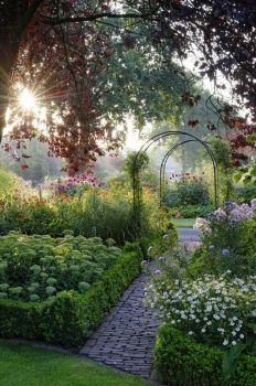 Enchanted Garden!