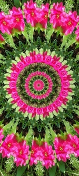 Kaleido