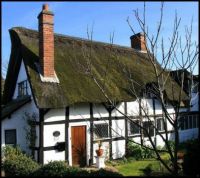 Pretty thatched cottage #1