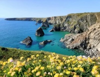 Bedruthan Steps in Wadebridge, Cornwall