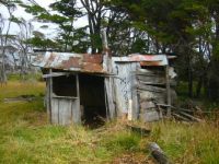Old shack. Gosh, it doesn't look very safe, does it?