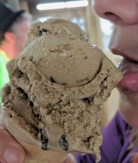 Enjoying An Ice Cream Cone