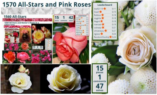 1580 All-Stars with White Roses