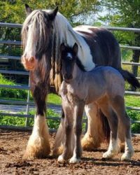 Kathy's Baby
