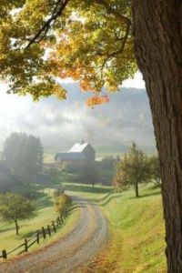 Country Road - My Farmhouse Love