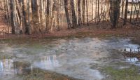 EARLY SPRING THAW
