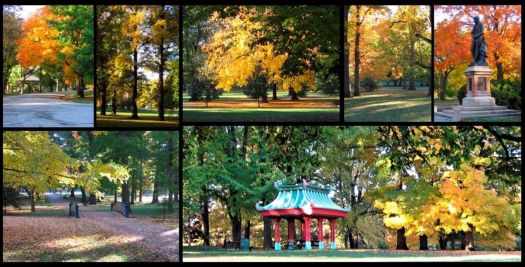 Previous High Autumns, Tower Grove Park, St. Louis