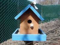 Bird House #5