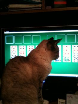 Playing Solitaire